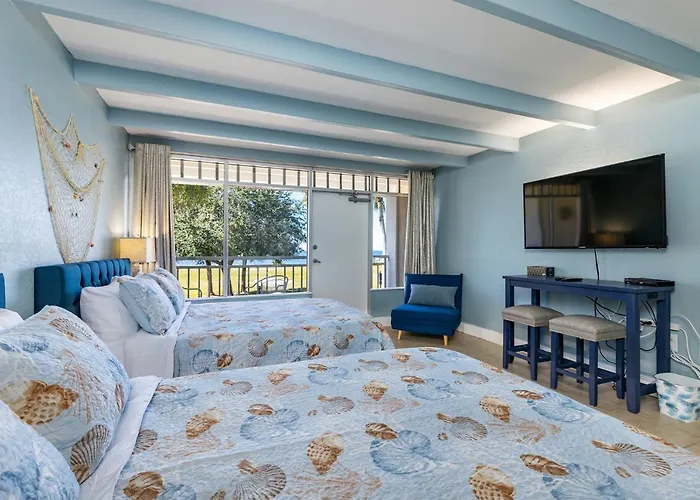 Come Stay Where The Dolphins Play!