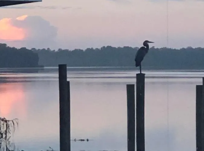 Tropical Marina & Resort On Lake Beresford