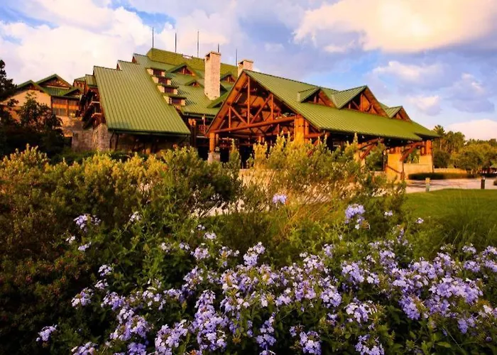 Disney\'S Wilderness Lodge