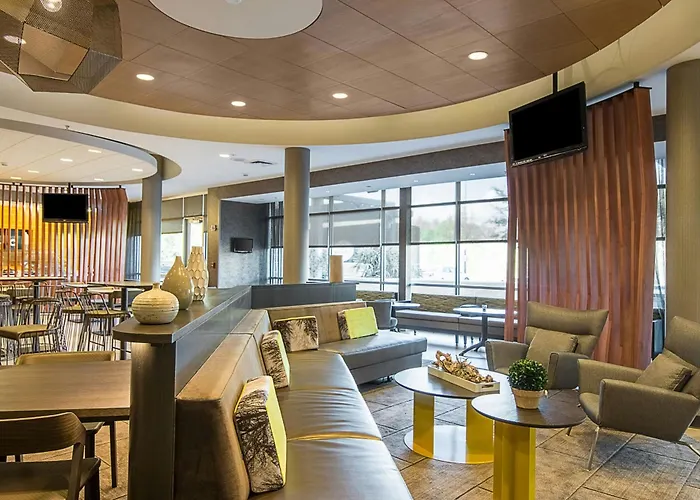 Springhill Suites Tampa North/Tampa Palms