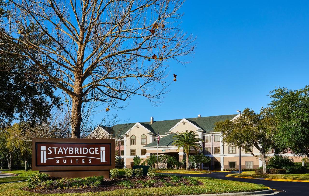 Staybridge South By Ihg Orlando