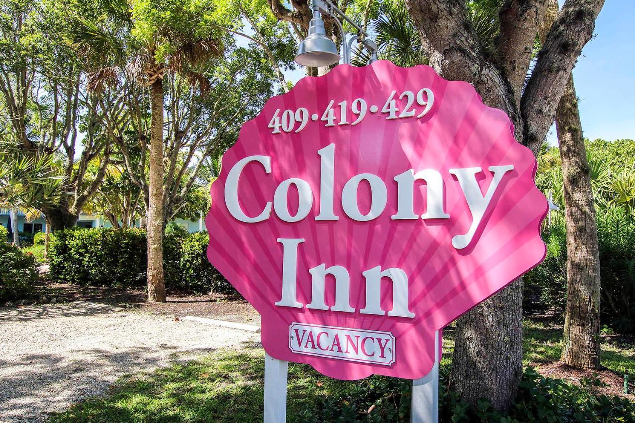 Colony 2*