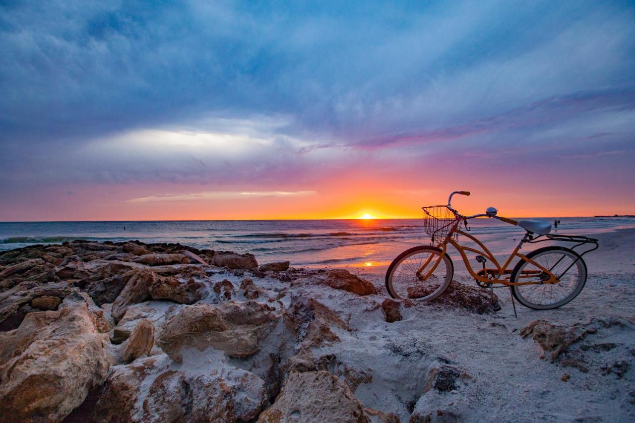 Anna Maria Island Palms 7a