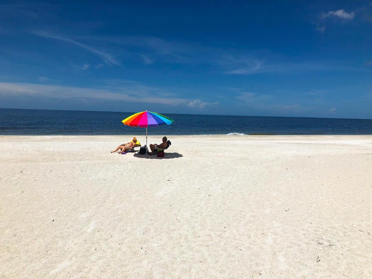Anna Maria Island Palms 7a