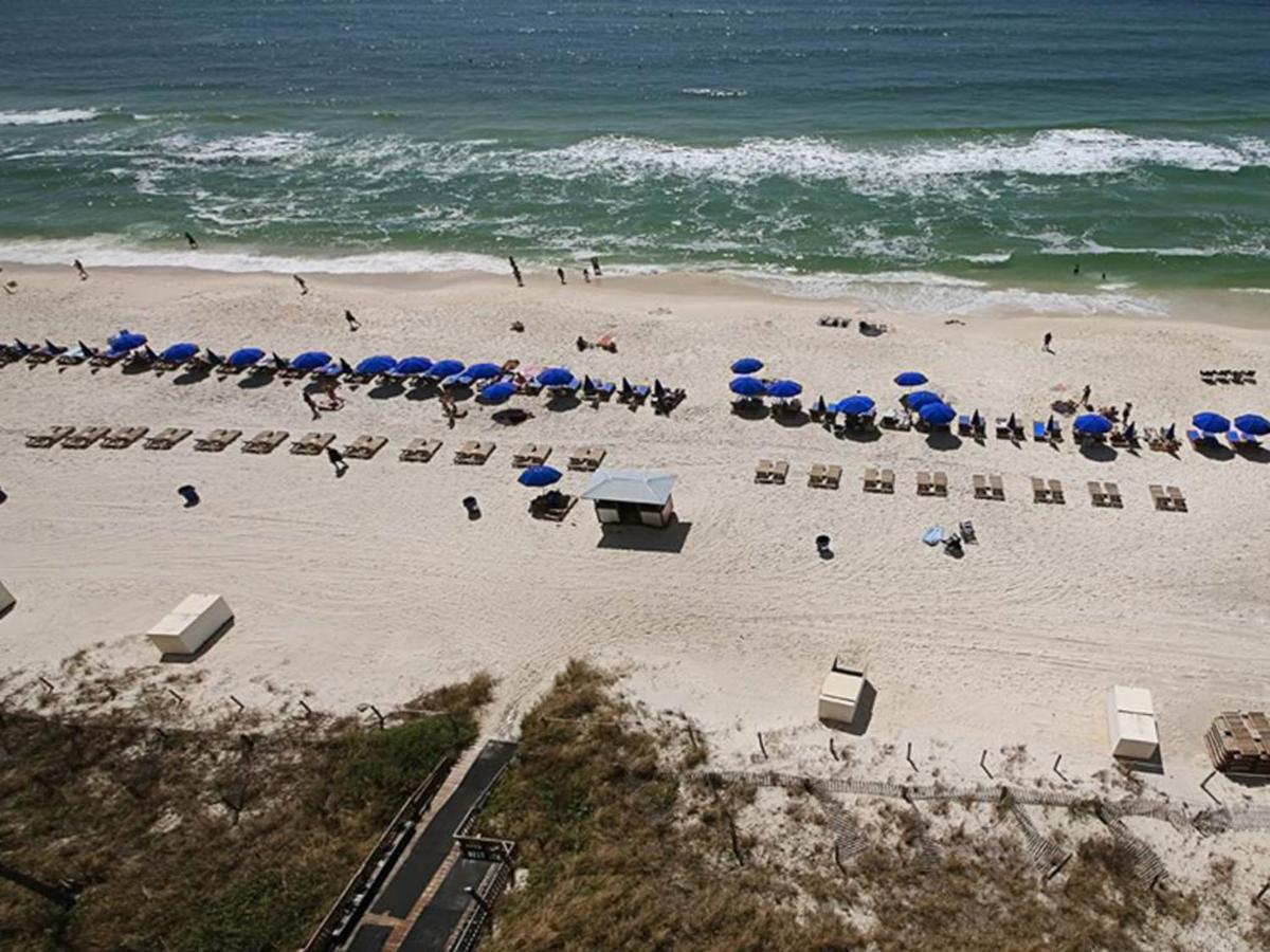 Celadon Panama City Beach