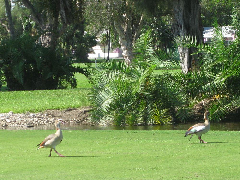 Golf Hollywood