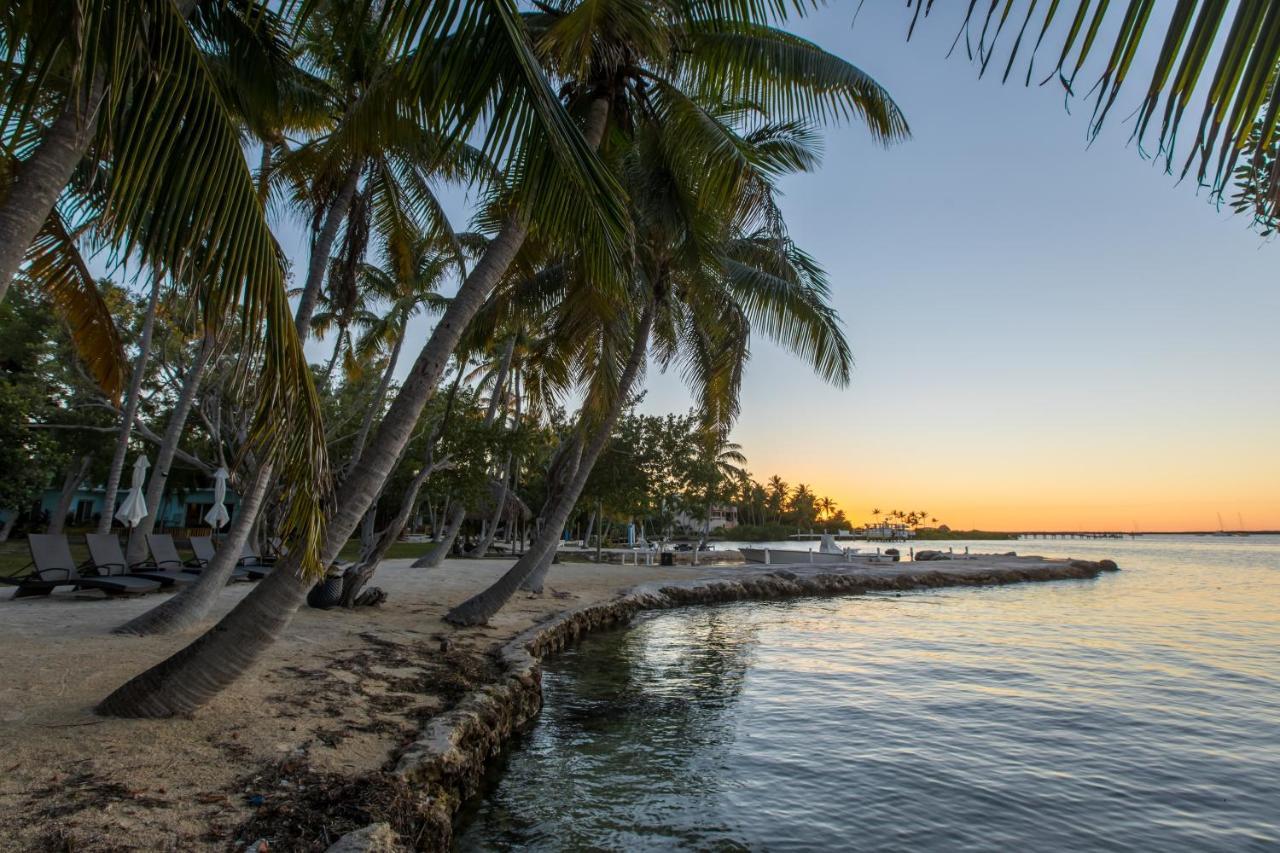 La Jolla Islamorada