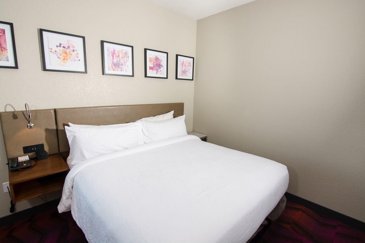 Hilton Garden Tampa Suncoast Parkway Hotel 3*
