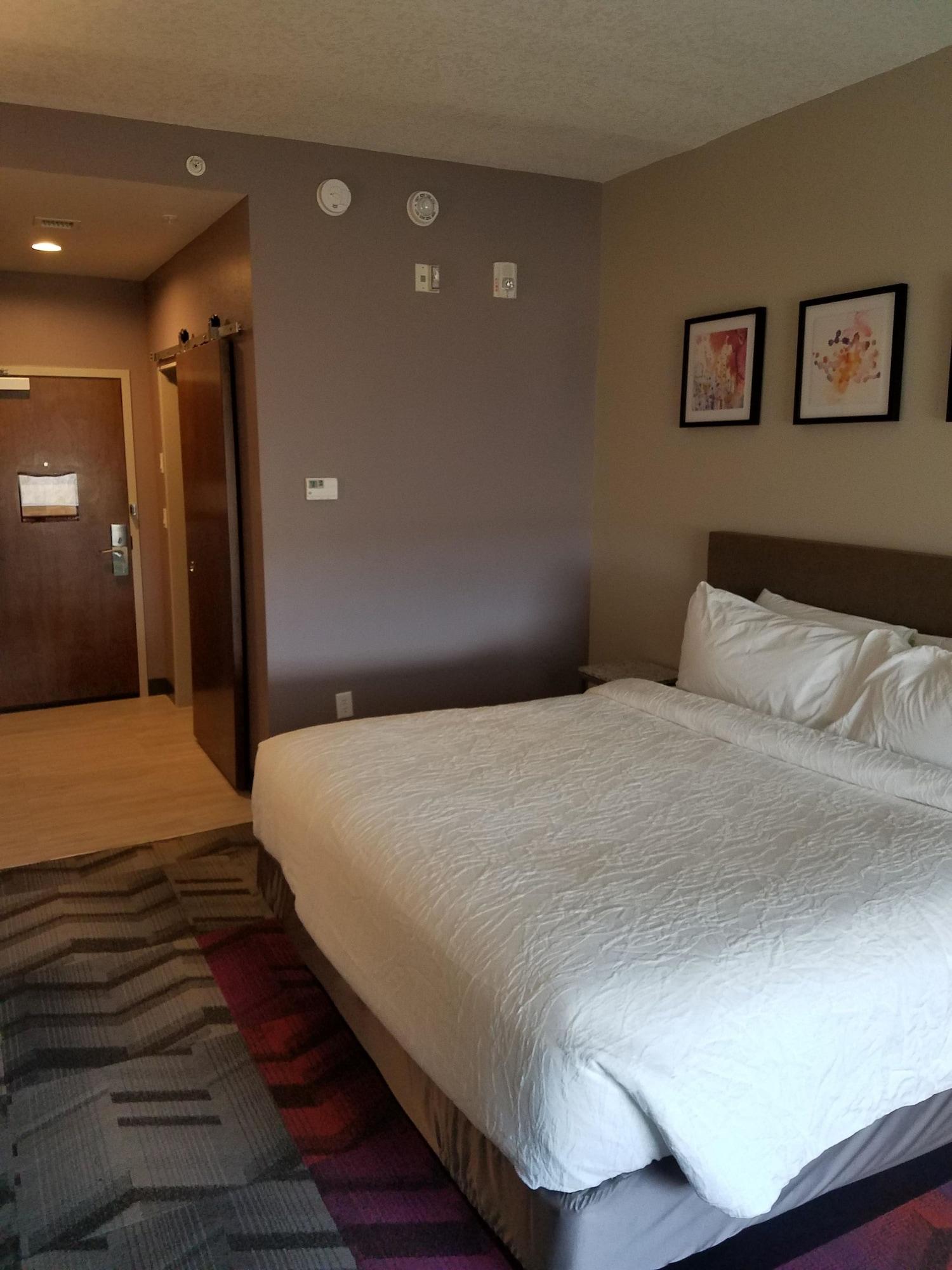 Hilton Garden Tampa Suncoast Parkway Hotel