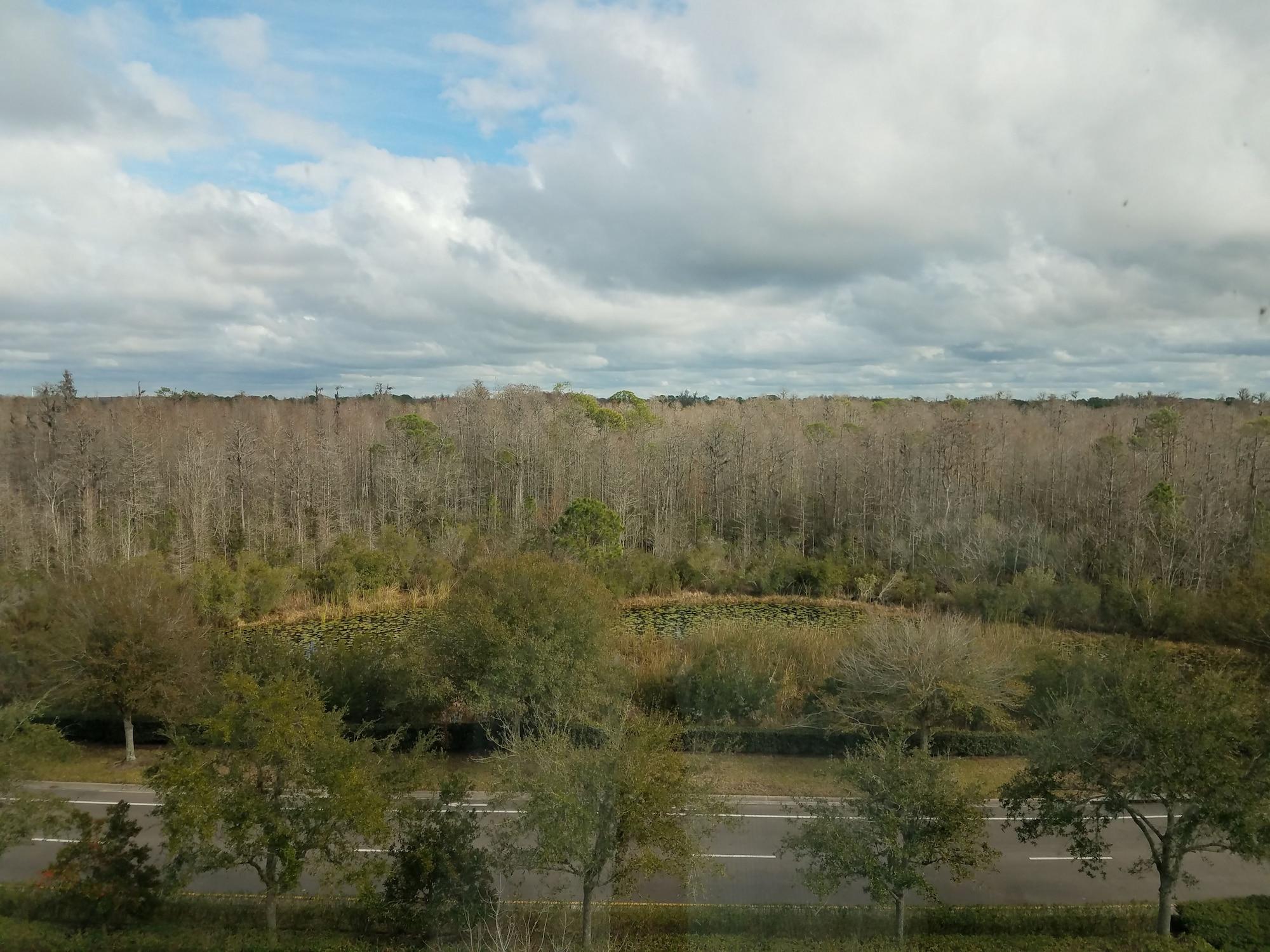 Hotel Hilton Garden Tampa Suncoast Parkway Lutz