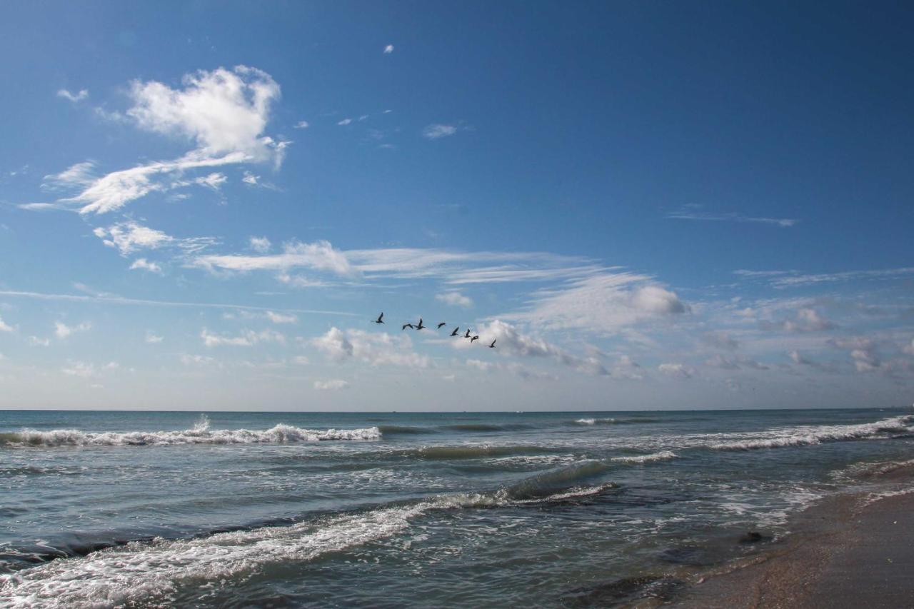 Walk To Shore Satellite With Ocean View