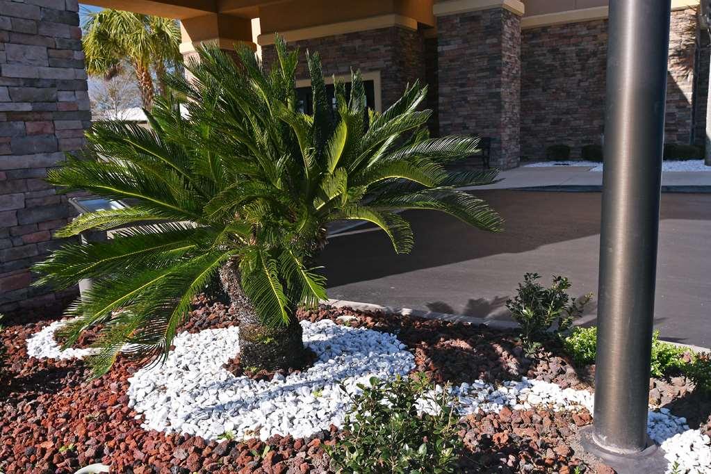 Hampton & Boulevard/mayo Clinic 3*