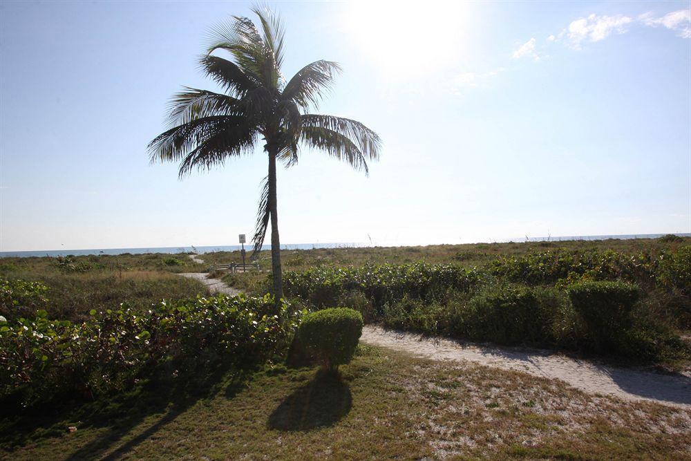 Tropical Winds Beachfront And Motel