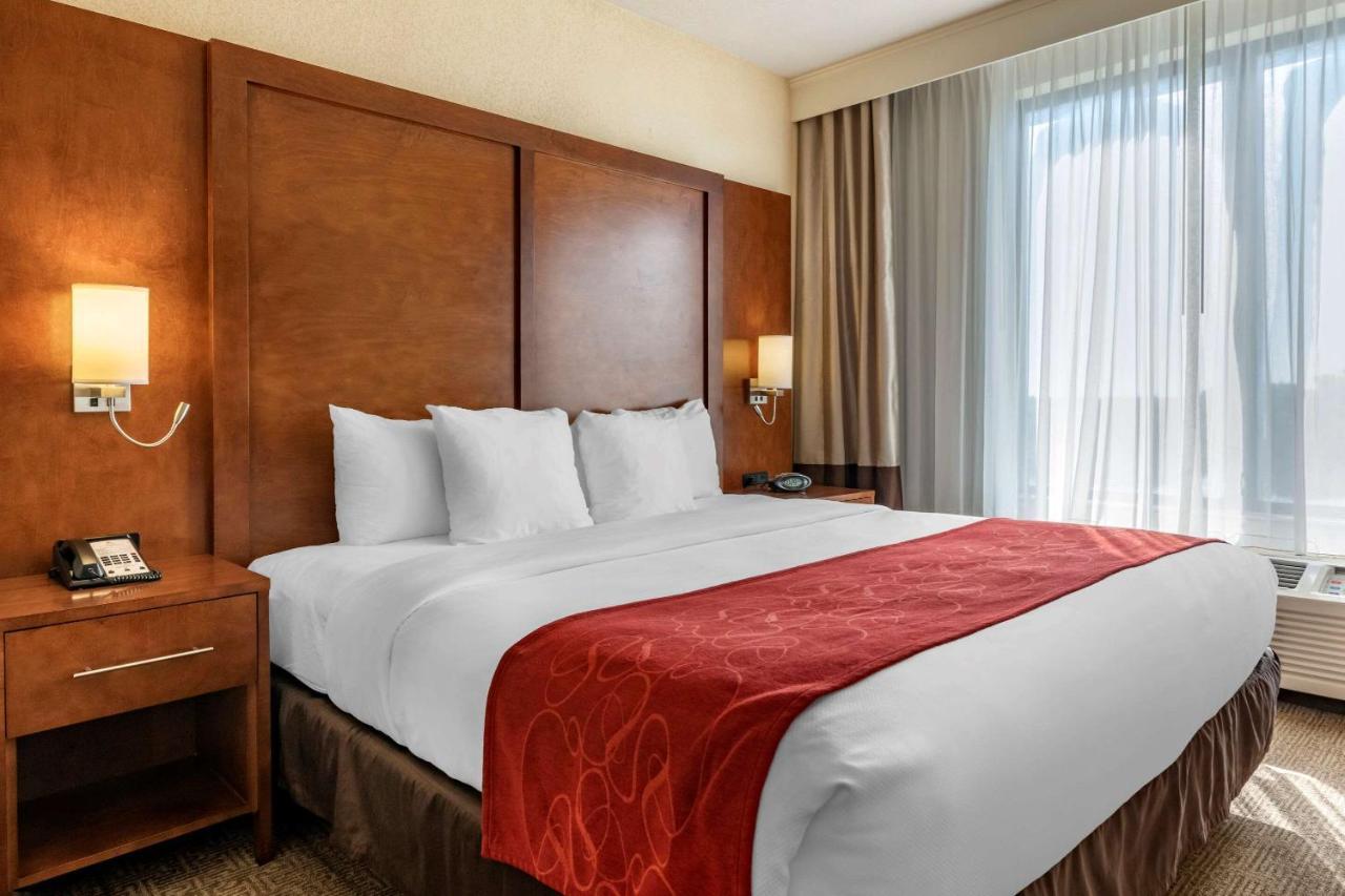 Comfort Miami -
