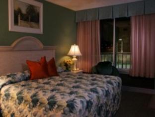 Magic Tree Hotel 3*