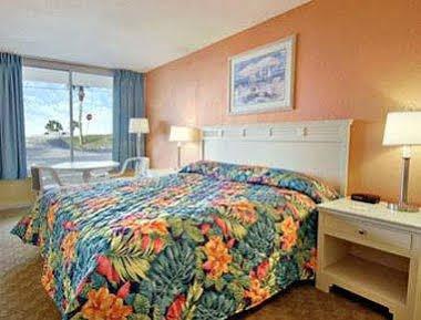 Tropical Palm Bay