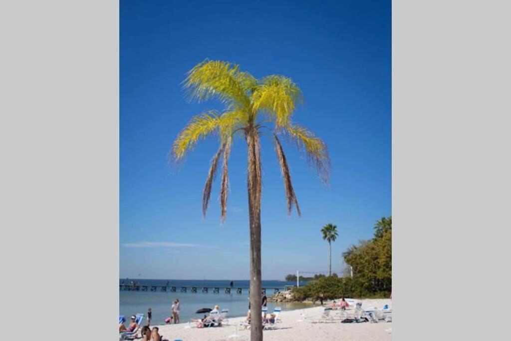 Apartment Sea Spray, 114, Steps Away! Pool+wifi