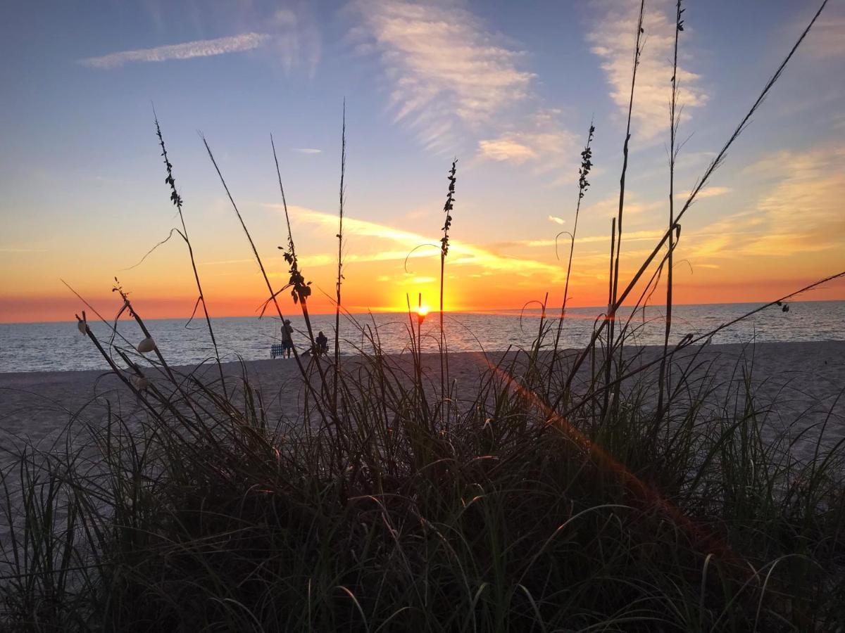 Suntan Terrace Nokomis