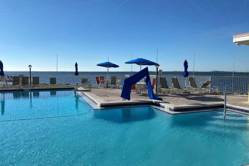 Apartment 421-fully Renovated, Wifi, Pool, Amazing Views, Near Bucs Stadium *