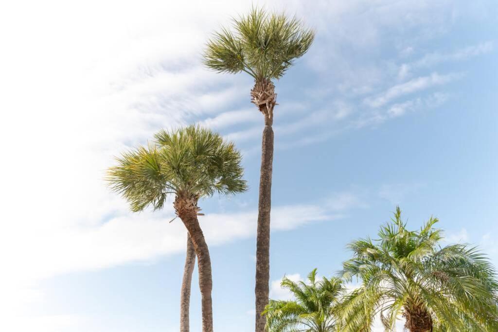 421-fully Renovated, Wifi, Pool, Amazing Views, Near Bucs Stadium Apartment