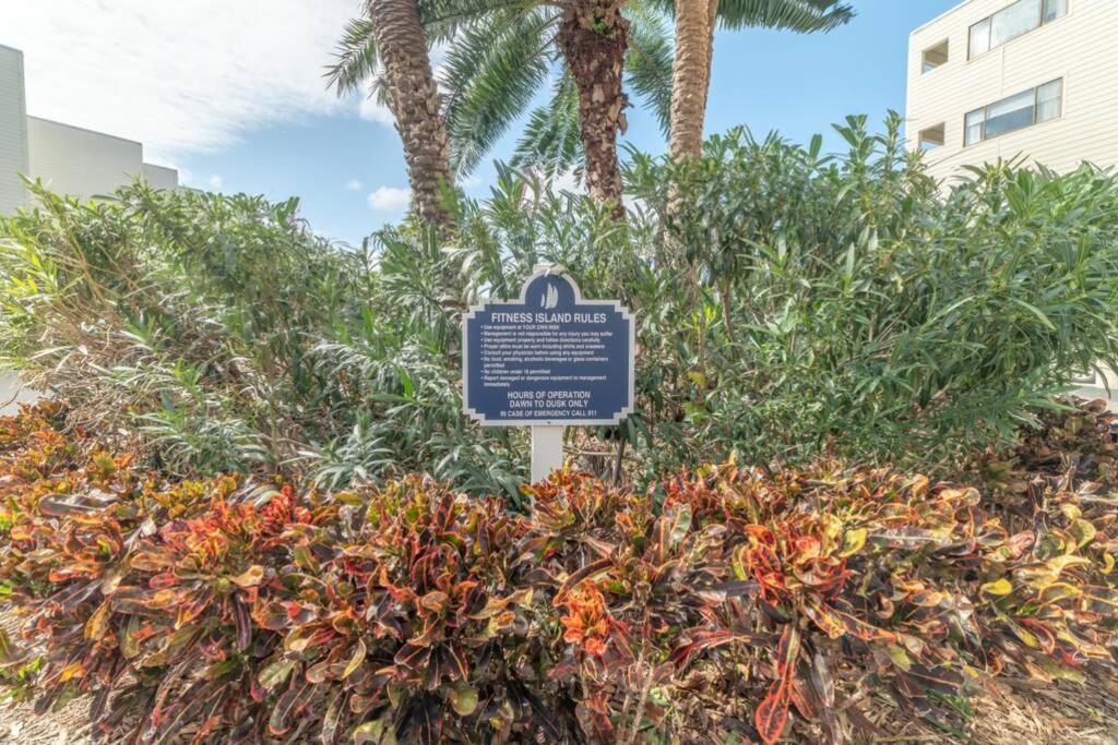 421-fully Renovated, Wifi, Pool, Amazing Views, Near Bucs Stadium * Tampa