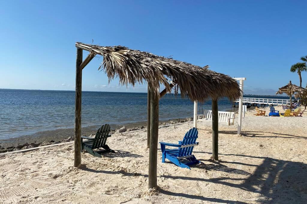 421-fully Renovated, Wifi, Pool, Amazing Views, Near Bucs Stadium *