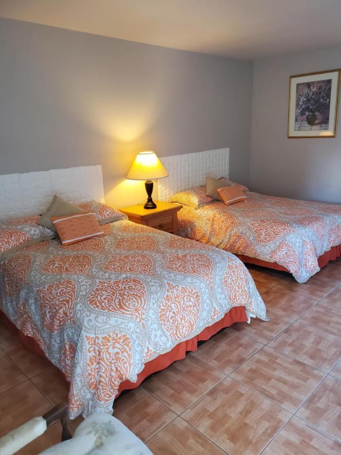 Motel Conty's 2*