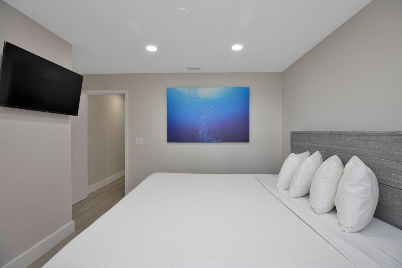 Hotel Amoray Dive