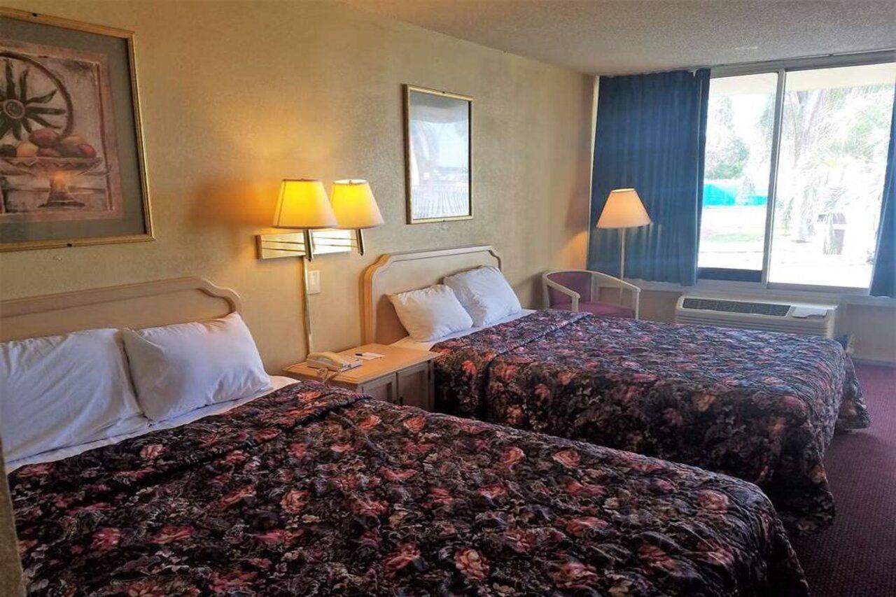Inn Quality North-tampa Bay St. Petersburg