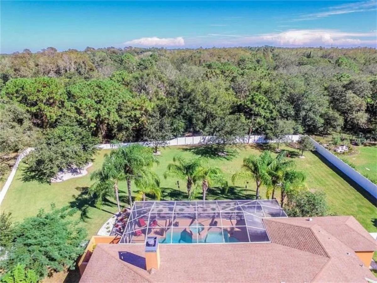 Homestay Secluded Paradise In Sunny Florida