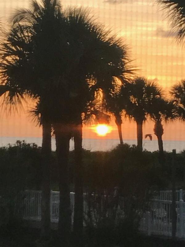 South Seas 2313 *