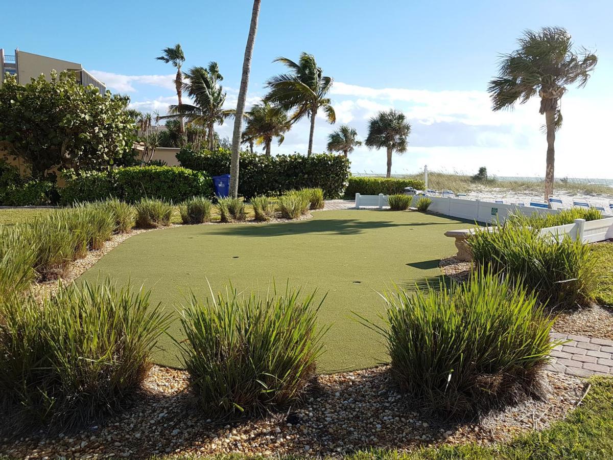 Turtle Crawl - 4* Longboat Key