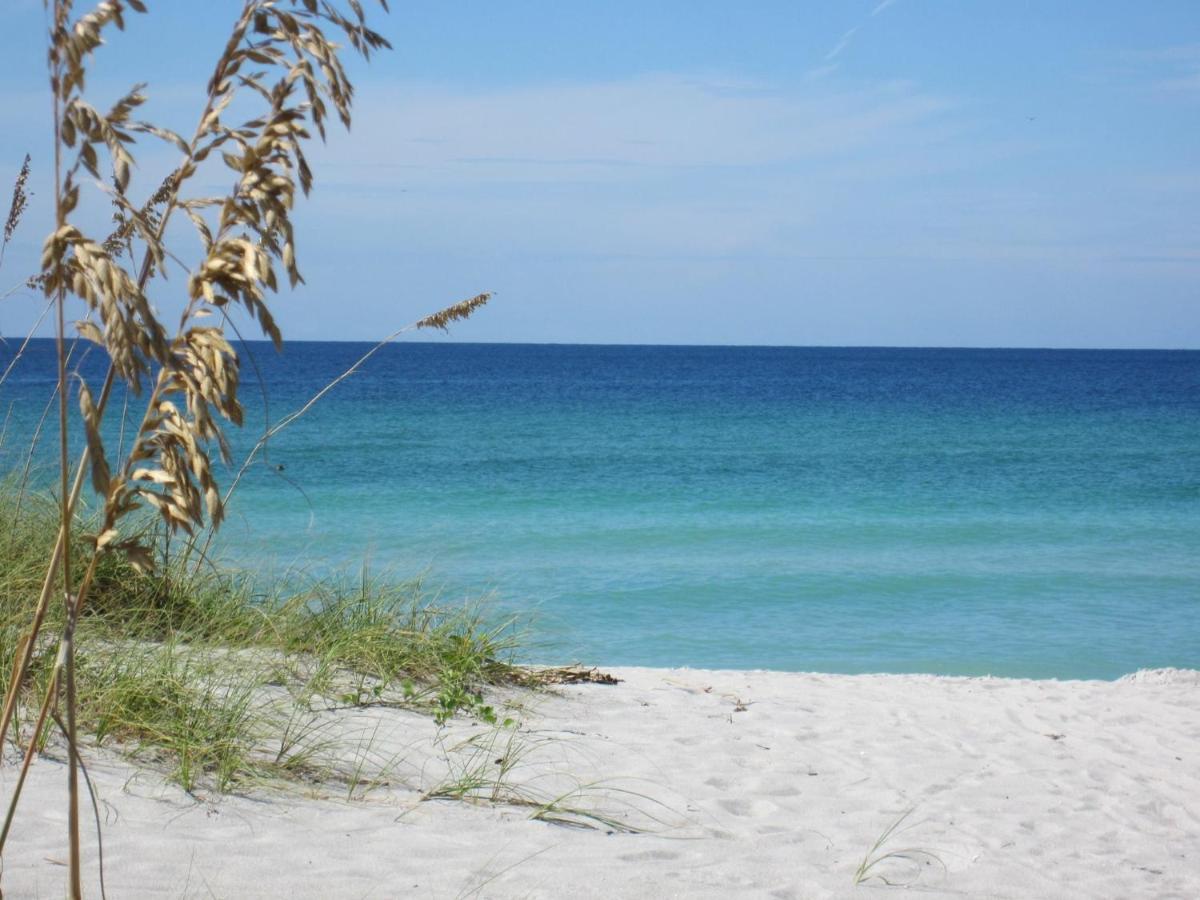 Inn Turtle Crawl - Longboat Key