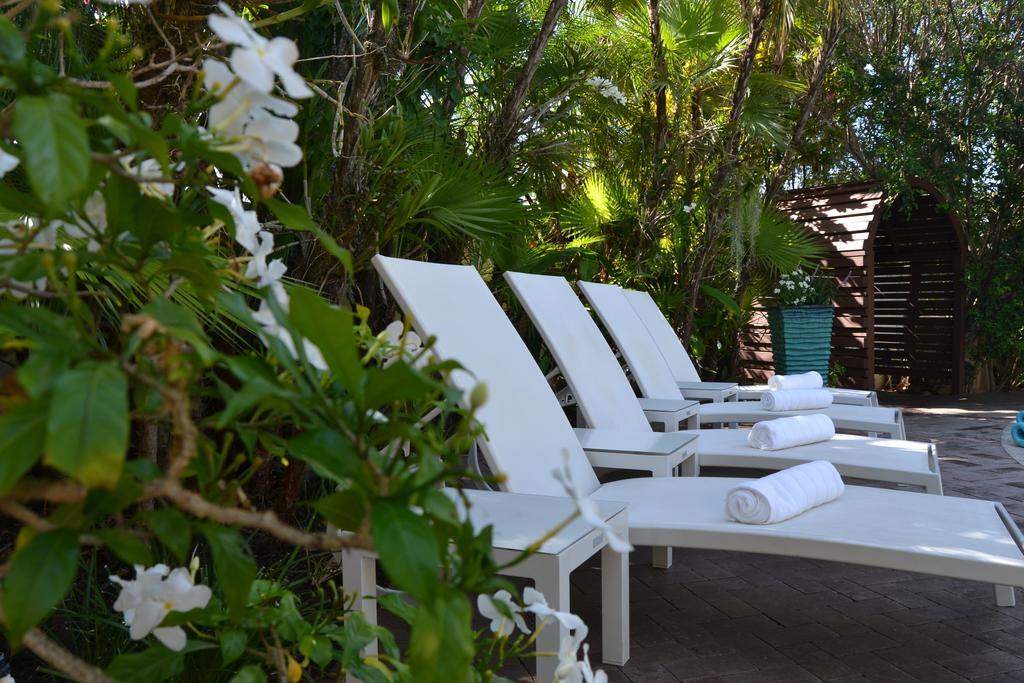 Lush Royale - All Male Gay A North Beach Village Hotel 3*