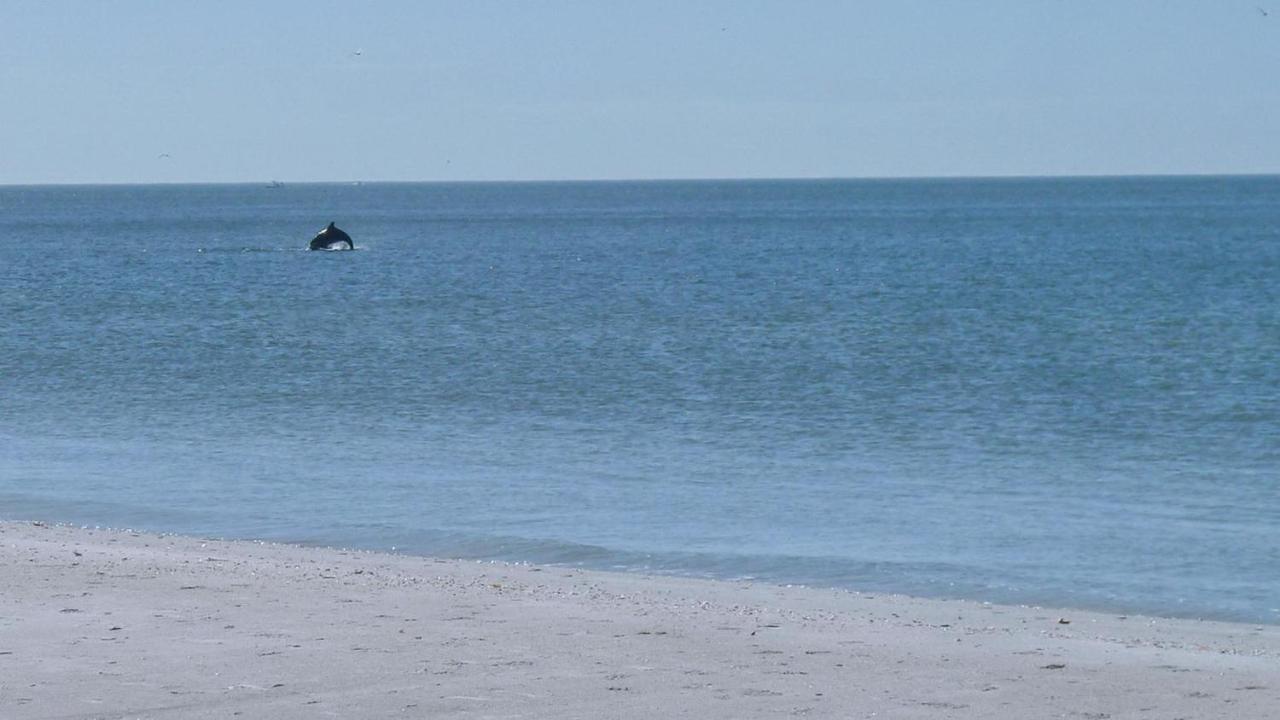 Sunset Beach House 3br Holiday home St. Pete Beach