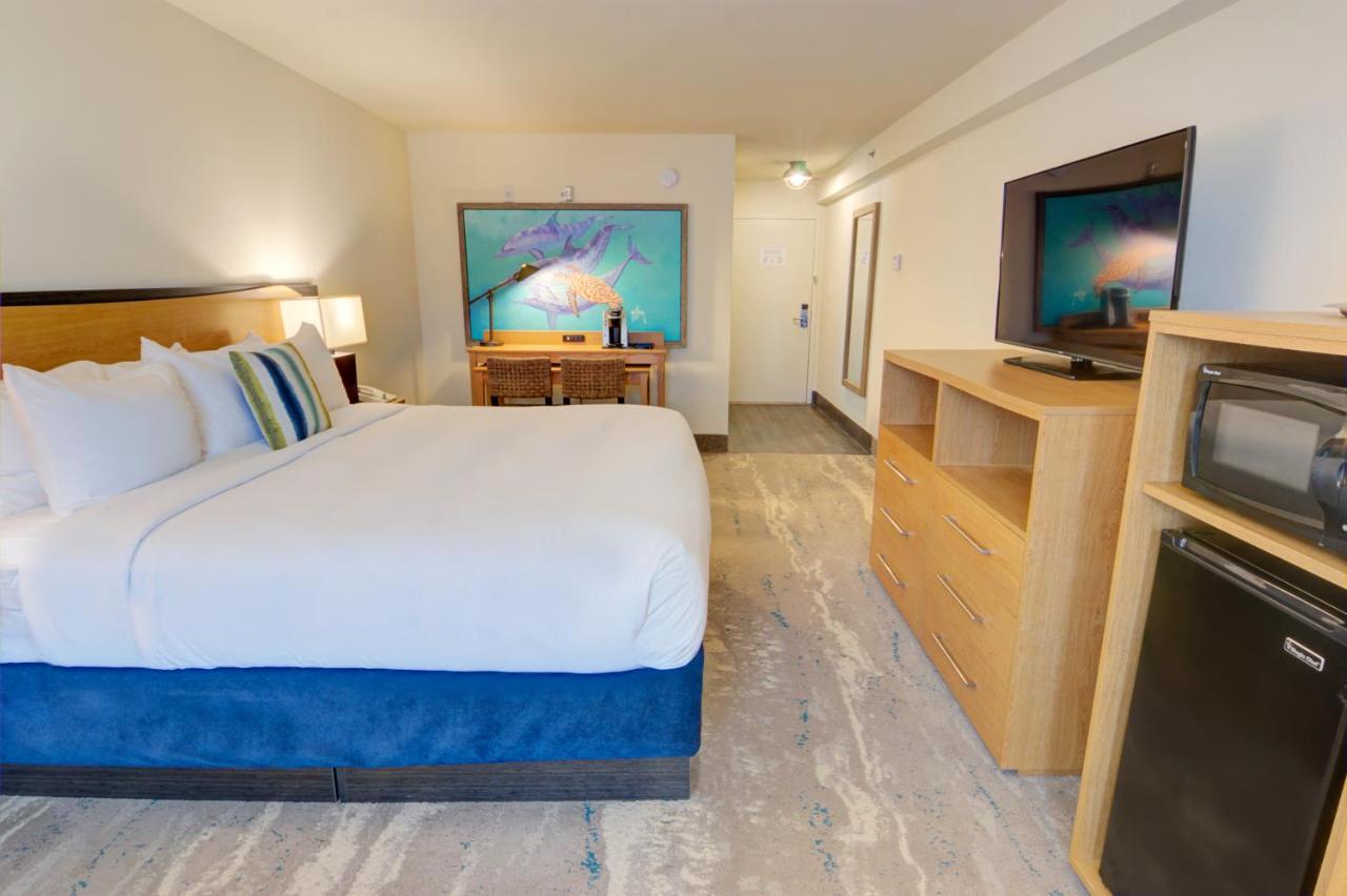 Guy Harvey On 3* St. Augustine
