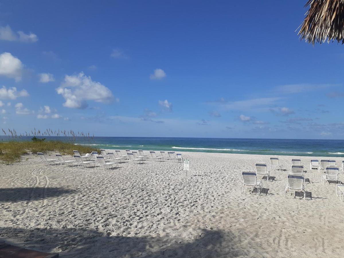 Turtle Crawl - Longboat Key