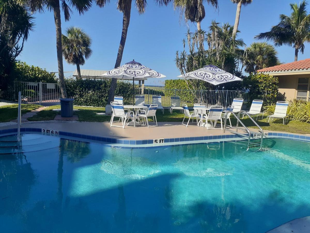 Turtle Crawl - Longboat Key