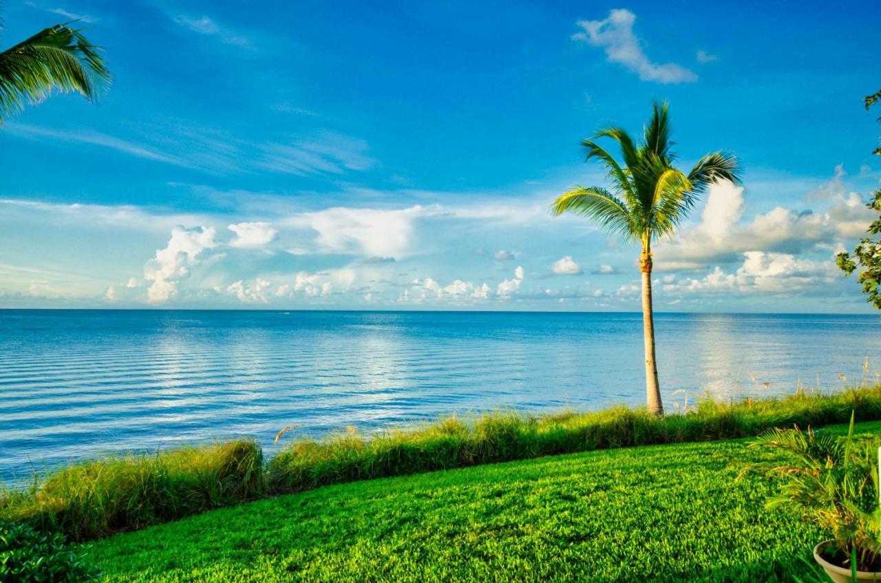 Indigo Reef 3*