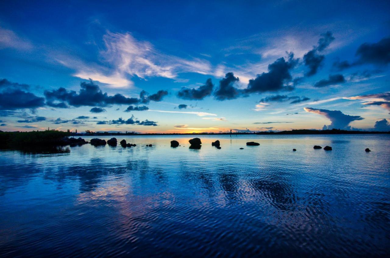 Indigo Reef