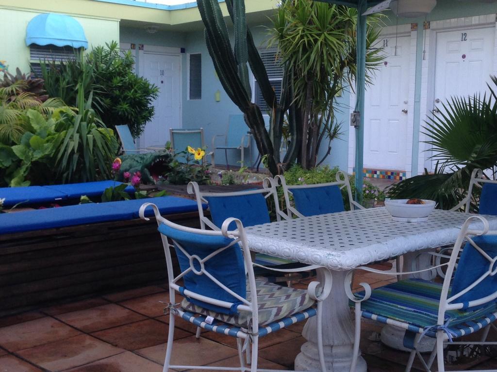 Hotel Angelfish