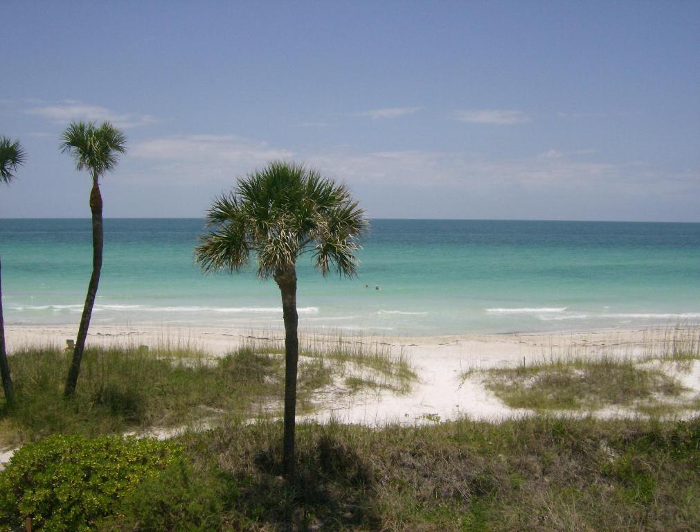 Hotel Club Bamboo South - Bradenton 3*