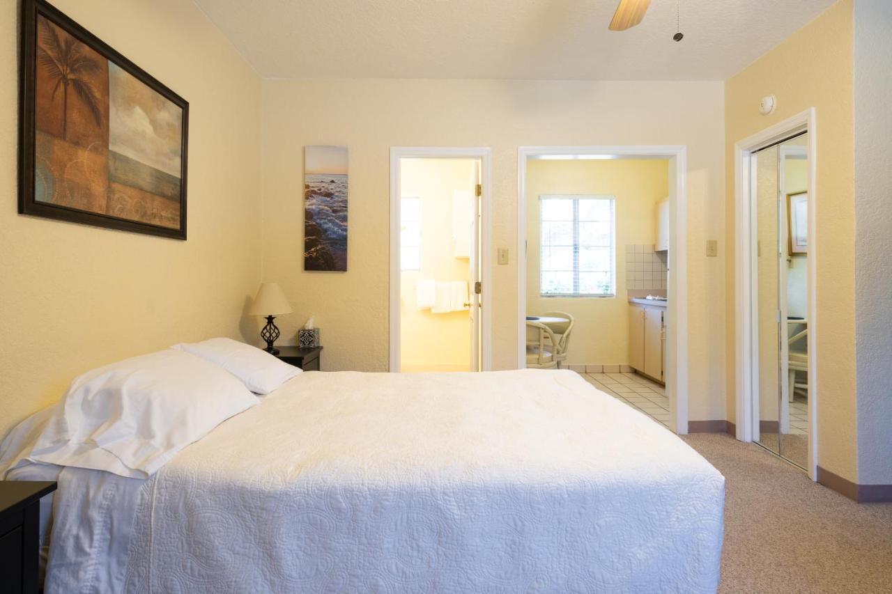 Mar Bay Exclusive Safety Harbor