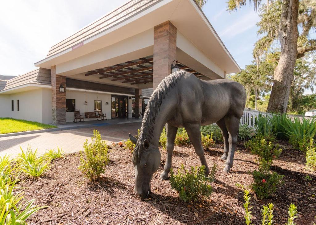 Hotel Equus I75 Ocala