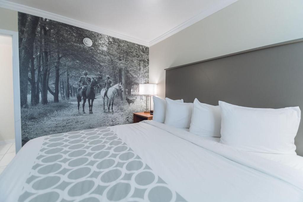 Hotel Equus I75