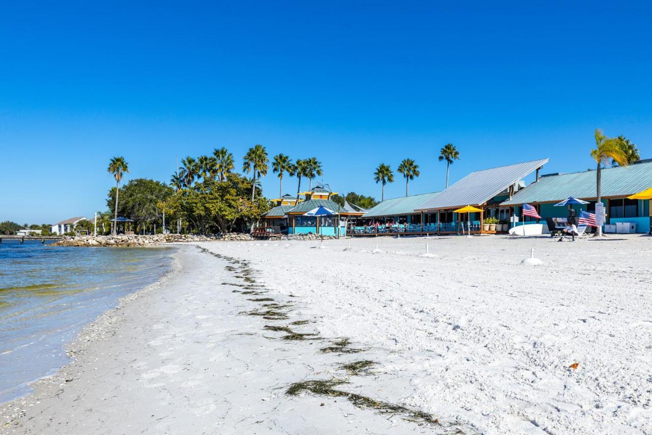Where The Dolphins Play! *