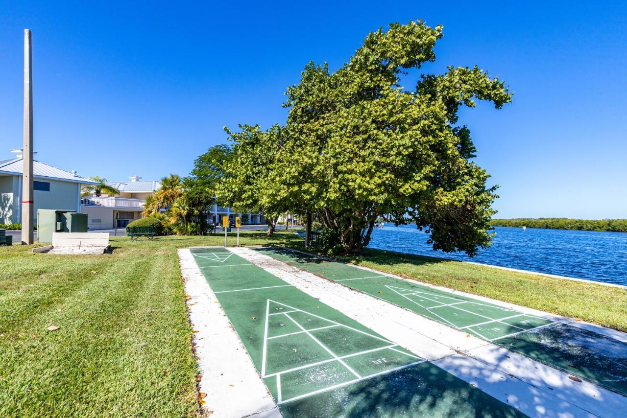 Where The Dolphins Play! Apartment *