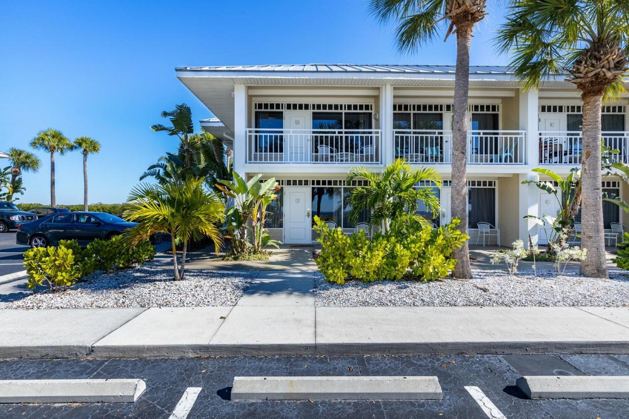 Apartment Where The Dolphins Play!
