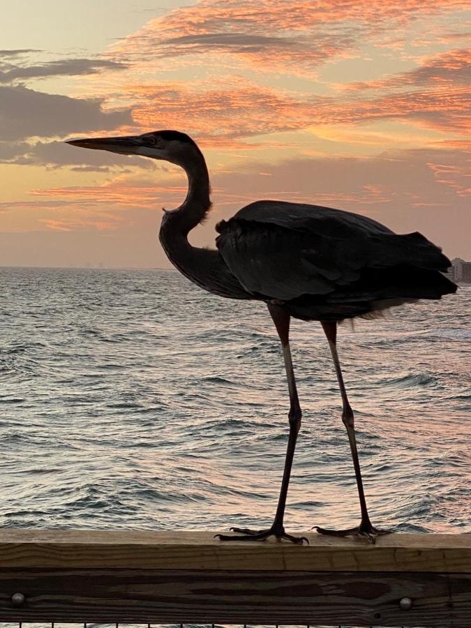 Beautiful! Sunset Harbor For 2-top Floor 1-309, * Navarre