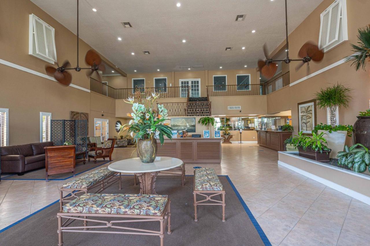 Hotel Club 3*